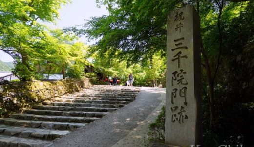 【京都】大原三千院・寂光寺への安い・お得なアクセス方法