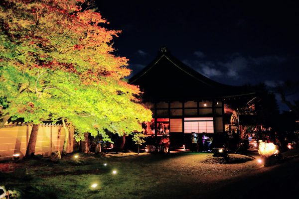 高台寺の紅葉。建物と庭を同時に見られる景色がキレイ。