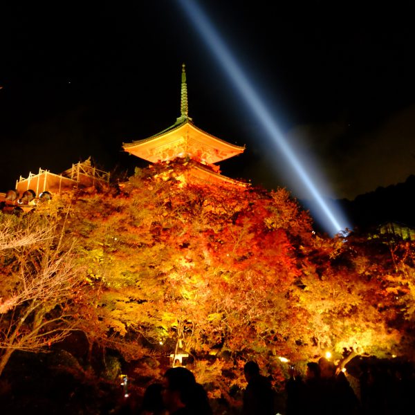 清水寺から市内の方へ、青い光が伸びていく。