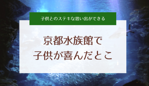 【口コミ】子供と京都水族館に行ってきた！子供が喜んだポイントまとめ