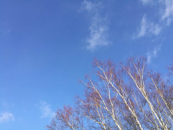 雪に寝っ転がって空を見上げる。雲の流れをただただ眺めるのやってみたかったんですー！